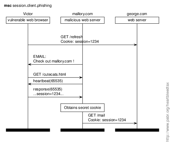 session_client_phishing.gif
